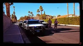 How To Deal With Tyrant Psycho Police by @iconoclasticgypsyD.O.A.