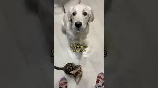 Когда тебя больше не любят 😂 