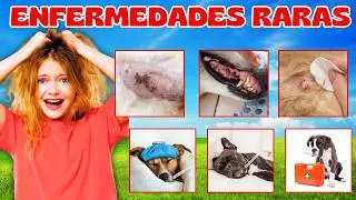 7 ENFERMEDADES RARAS en PERROS