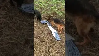 Команда ФУ и команда ВЗЯТЬ !
