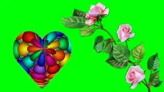 Flowers green screen effects.rose green screen effects.effects green screen.green screen.rose .love