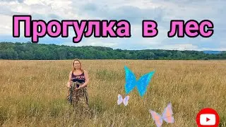 Прогулка в лес, новый бассейн/жизнь на юге.