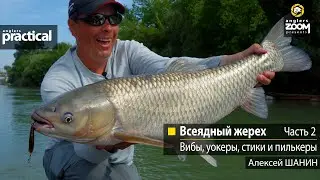 Всеядный жерех. Вибы, уокеры, стики и пилькеры. Алексей Шанин   Часть 2. Anglers Practical