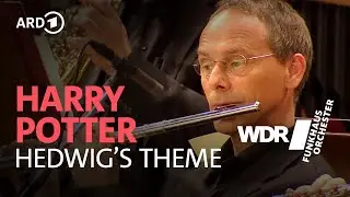 Harry Potter - Hedwig's Theme - John Williams | WDR Funkhausorchester