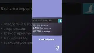 Варианты доступа в ветеринарной торакальной хирургии