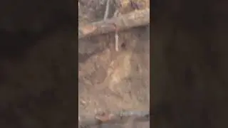 Bullet fly on 650m