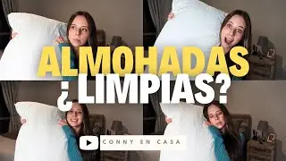 ✨️¿CÓMO LAVAR LAS ALMOHADAS CORRECTAMENTE? ✨️