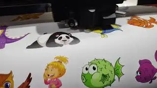 sticker printing and cutting machine in India Media expo Greater Noida