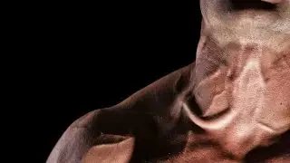 Strong Neck Training