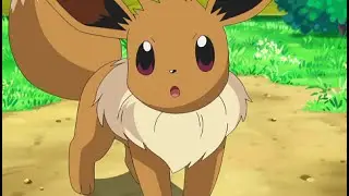 Pokemon Go - Evee Evolution