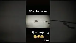#подпишись #смех #funny #youtubeshorts #shorts #youtube #bear