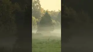 Ein morgen im September