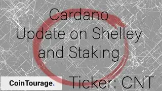 Cardano update - Shelley, Staking and Stability