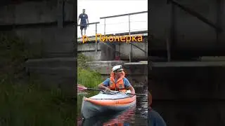 Саня и собаки
