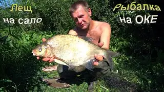 He loves lard with garlic. Bream fishing. He waited. Fishing on the Oka, day 2.