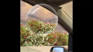 Пожар на Тенерифе глазами инсайдера
