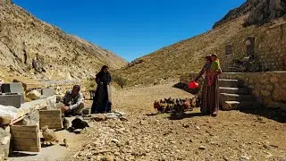 🐓🐤🐔Iran nomadic life in mountains | building chicken houses with natural materials in the mountains
