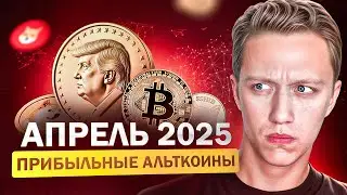 📈 РОСТ РЫНКА! Эти монеты я купил! Какие мем коины брать? AVAX, ONDO, Fartcoin, NEAR | Альткоины