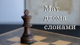 Урок №16. Основи ендшпілю. Мат двома слонами