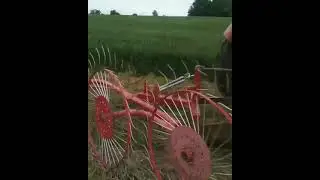 Т-40 сгребает сено! 