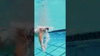 Sprint Freestyle Olympian Dylan Carter  #swimming #theraceclub #swimtechnique