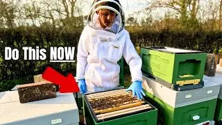Spring Beekeeping Expansion Tips - How To Checkerboard A Hive