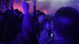 音乐节｜保持理智