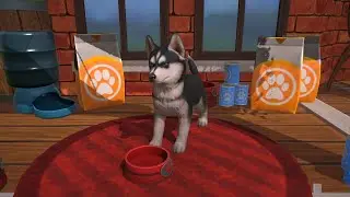 Little Friends Puppy Island (Switch)(English)