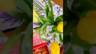 С Праздником весны и нежности! #8марта