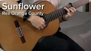 Sunflower by Rex Orange County (Guitar Cover)