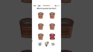 Brain out level 24 answer 