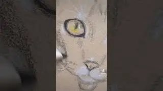Drawing my cat Mitsu 🕊️👼 