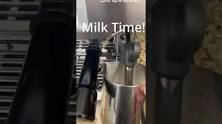 The BEST Part Of Every Morning!