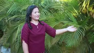 Bawipai' Ta - Hrin Nei Kim | Falam Pathian Hla thar