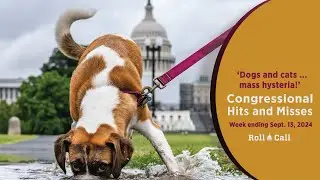 ‘Dogs and cats … mass hysteria!’ Congressional Hits and Misses