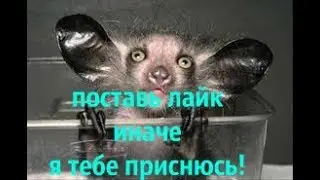 Самые страшные!