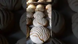 Horneado dé Conchas