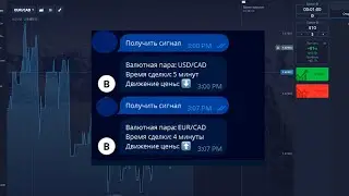 Бот для Pocket Option в Телеграме