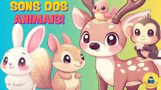 Música Infantil: Som dos Animais da Floresta: Macaco, Passarinho, Coelho, Esquilo e Cervo!