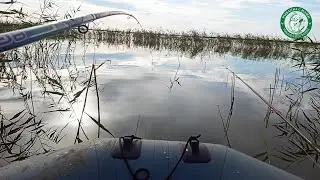 ПОЛНАЯ ЛОДКА РЫБЫ, А МЕНЯ НЕ ЗВАЛ! СНАЧАЛО САМ НАЛОВЛЮ! РЫБАЛКА НА ОЗЕРЕ КИНДЕРЛИ, ДЕДКИ В ДЕЛЕ!