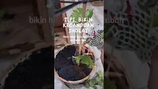 Tips Bikin Ketagihan SHOLAT