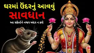 ઘરમાં ઉંદર આવવું શું સંકેત આપે છે? | Vastu Shastra લક્ષ્મી પ્રાપ્તિ અને બ્રહ્માંડના સંકેત