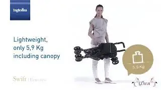 Swift   Inglesina
