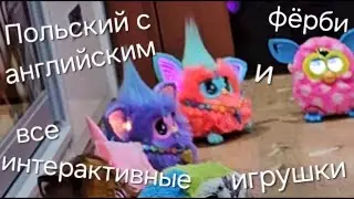 Польский и английский фёрби общаются со всеми интерактивными игрушками