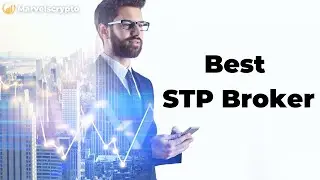 Best STP Broker