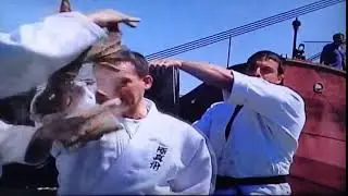 Šihan Nenad Blagojević   Tameshivari shotei kata