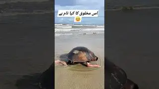 Very Funny # must watch