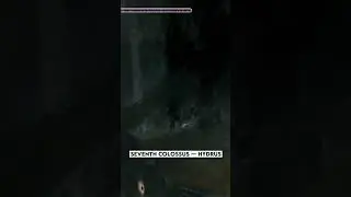 Seventh Colossus HYDRUS #shadowofthecolossus #gaming #playstation #shorts