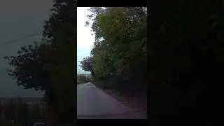 Нормально? Нормально...