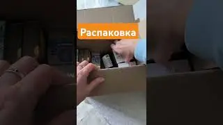 26 июля 2024 г.